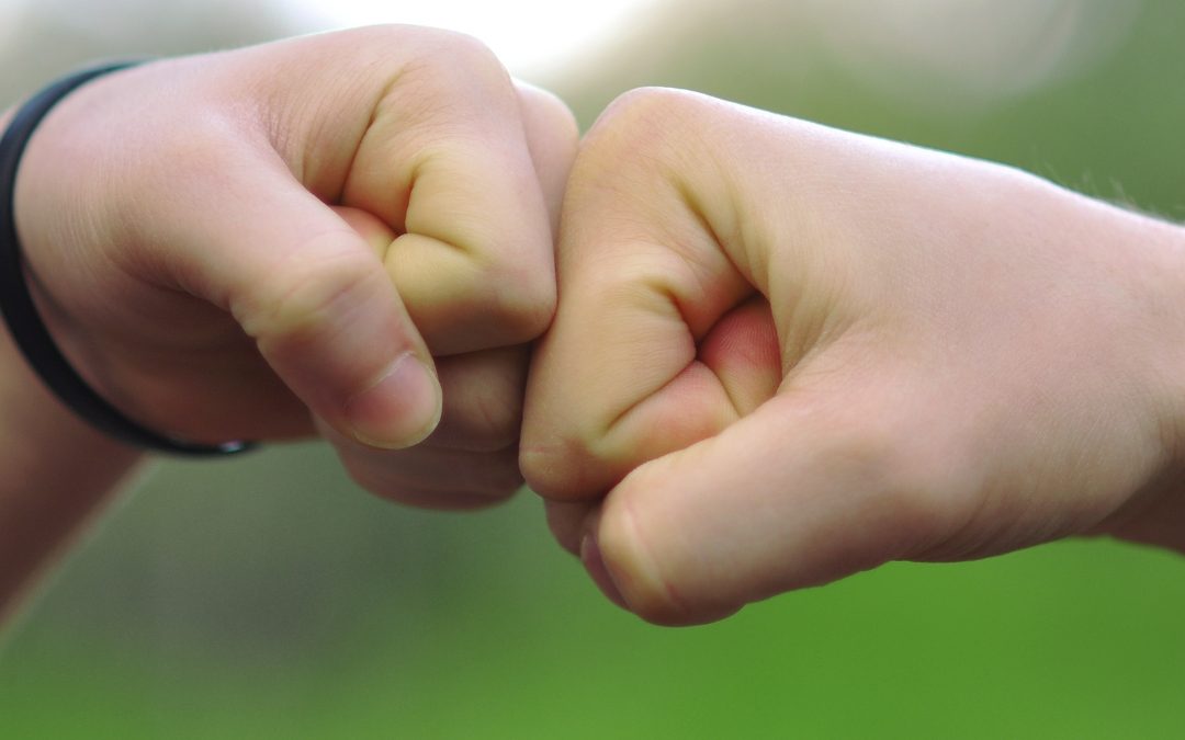 Daniel, Jesse’s best friend