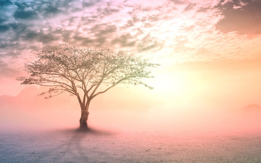 Roy F. P. — In remembering our children…