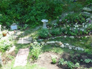 1199896860 codysgarden027