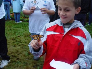 1199969872 walk07051